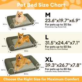 FUNNY FUZZY Orthopedic Dog Bed – Washable Dog Bed with Double Layer Plush Cushion Sofa Style Design with Bolstered Sides for Small Medium & Large Dogs Removable Cover M Size (23.6"x19.7"x6.9") Green