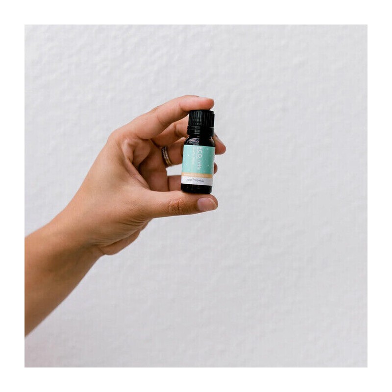 ECO. Modern Essentials Little Study Time Essential Oil Blend, Blend