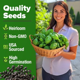 HOME GROWN Genovese Basil Seeds Pack - 1750 High Germination, Non-GMO Heirloom Seeds (Ocimum basilicum) - Perfect Herb Seeds for Planting Indoor & Outdoor Gardening - Grow Basil Plant for Culinary Use
