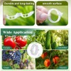 Plant Support Clips 50pcs Reusable Tomato Clips Plastic Trellis Clips