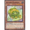 Yu-Gi-Oh! - Naturia Pumpkin (STBL-EN031) - Starstrike Blast - 1st Edition - Common