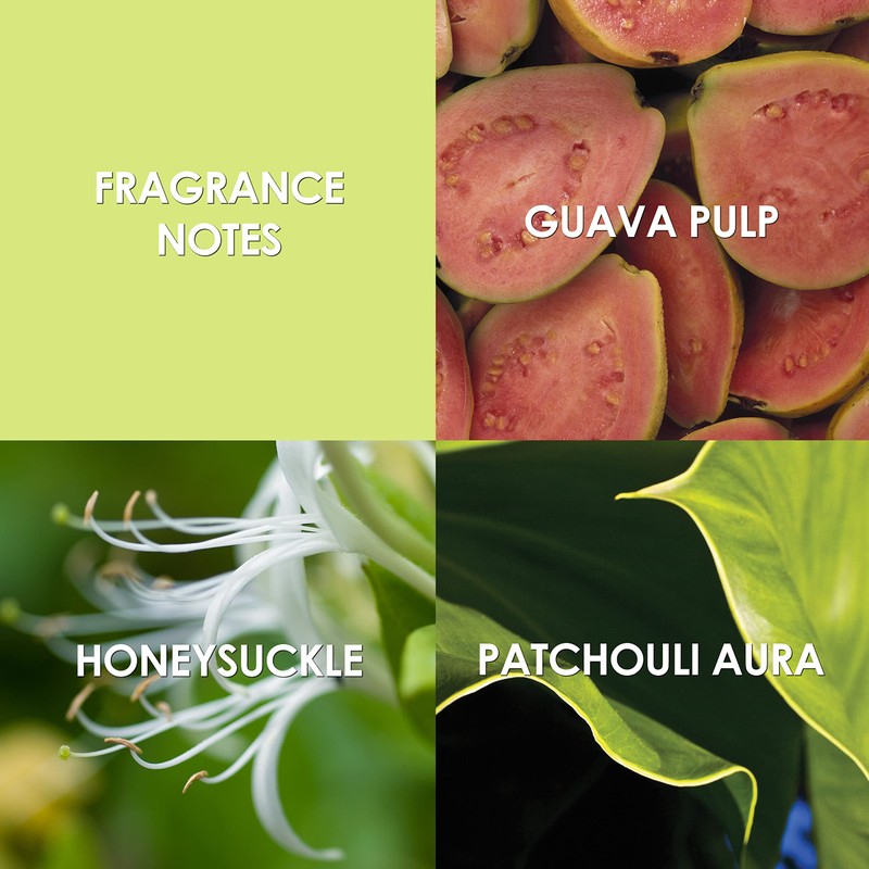 Britney Spears Believe Eau De Parfum Spray for Women, 1.7