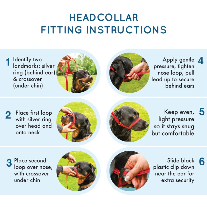 Gencon - Medium Size Anti Pull Dog Headcollar - Trainer