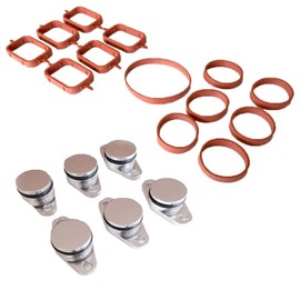 Autoparts - Gasket Kit 13 pcs + 6 Swirl Flap Blanking Plates 22mm