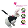 Bunny Kitten Harness No Pull Cat Leash Stylish Vest Harness
