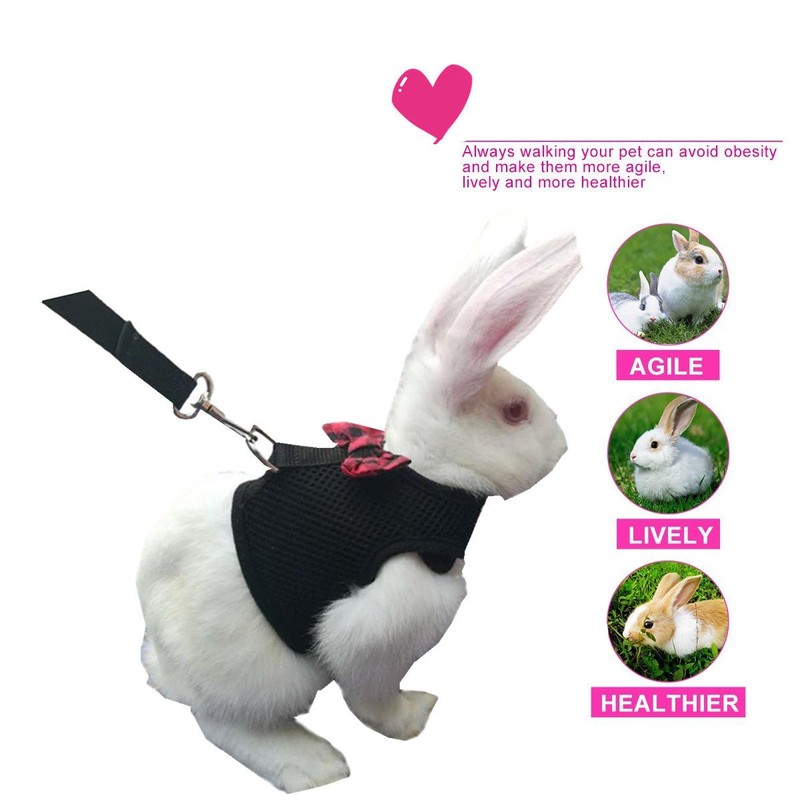Bunny Kitten Harness No Pull Cat Leash Stylish Vest Harness