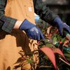ANDANDA Cut Resistant Gloves Work Gloves 6 Pairs with PU