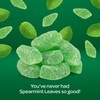 Spearmint Leaves Jelly Candy - 2 Pound Bulk Bag -