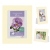 Hakuba AMZMCPS-2LCR 4977187003826 Paper Photo Frame, Color Paper Stand, AZ
