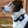 Dapper Dog Pet Tag Silencer and AirTag Holder (Black with