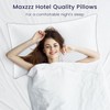Maxzzz Standard Size Bed Pillows Set of 2, Luxury Hotel