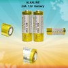 23A 12V Battery, A23 23a Alkaline Battery,Long Lasting for Doorbells