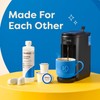 Keurig 3-Month Brewer Maintenance Kit Includes Descaling Solution, Water Filter