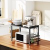 DOLALIKE Microwave Oven Rack, Expandable Microwave Stand Countertop Kitchen Utensils
