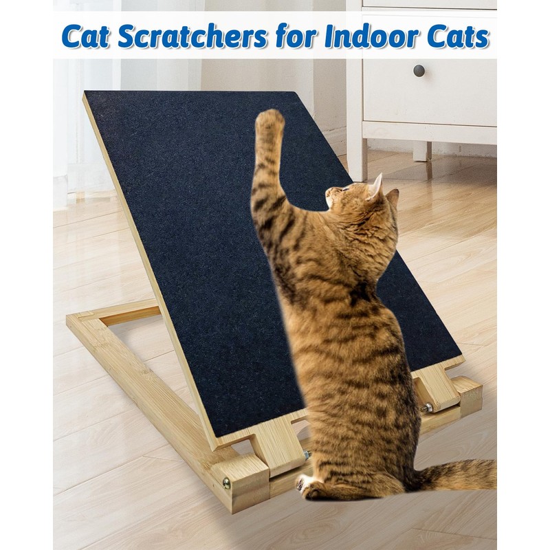 cat Scratcher