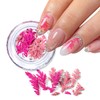 Real Dried Flowers Nail Decals Mini Fall Leaf Dry Flowers
