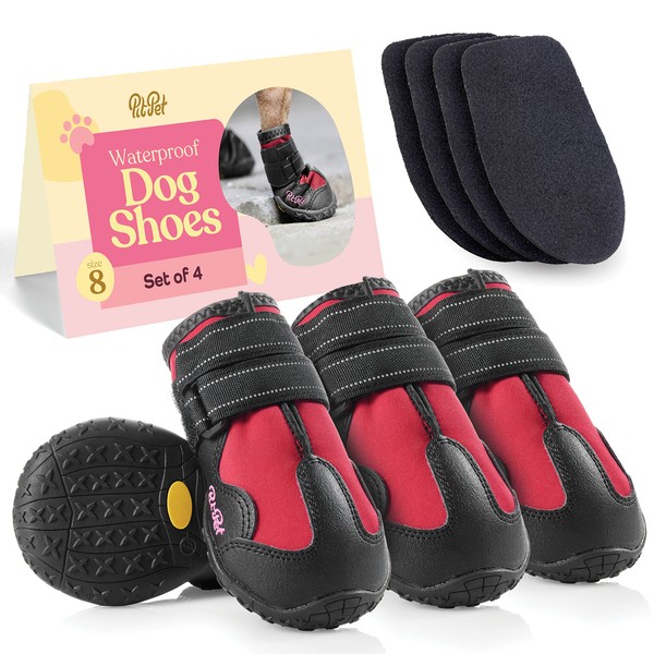 Dog Shoe