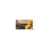 Terro Liquid Ant Killer - Fast-Acting Formula for Household Ants