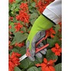 Spear & Jackson Kew Gardens Seeding & Weeding Gloves Large