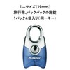 Master Lock 4630JAQBLU 4630JAQBLU Padlock, Key Type, Small, Lightweight, Main