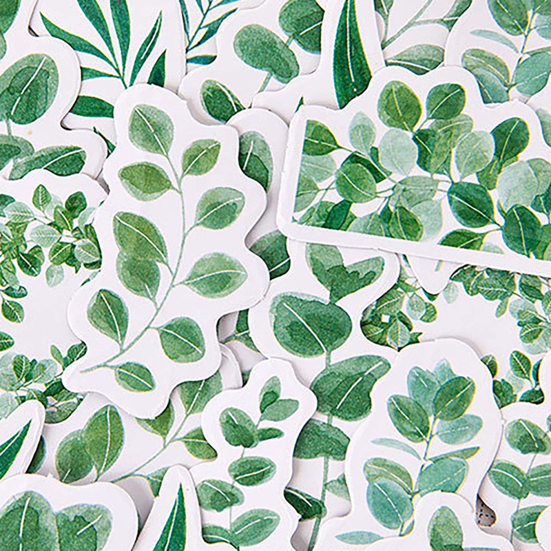 Doraking 45PCS Boxed DIY Decoration Green Leaves Adhesive Paper Stickers