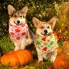 Preboun 50 Pcs Fall Pumpkin Dog Bandana Bulk Maple Leaves