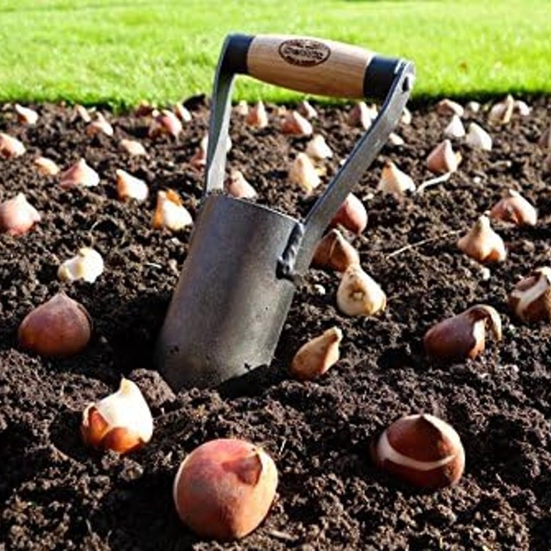 DeWit Bulb Planter with Short Handle