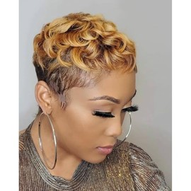 BeiSDWig Short Curly Hair Wig Synthetic Short Wigs for Black Women Ombre Brown Hair Wig Short Pixie Wigs for Women Short Cosplay Wig Brown Hair