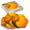 4 x Hexagon Coasters - Orange Marigold Flower Cork Backed
