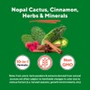 Vitapia Nopal Cactus Extract for Antioxidant, Skin, Metabolism, Wellness, Heart