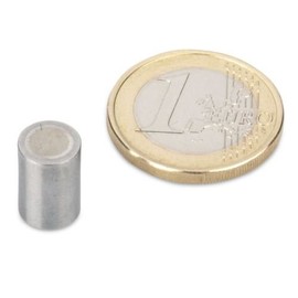 Alnico Rod Grabber Diameter 8 x 12 mm, Steel, H6, 400 g