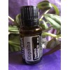 doTERRA COPAIBA Essential Oil 15mL 2025/07 New & Sealed FREE