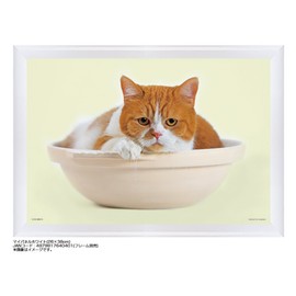 108 Piece Jigsaw Puzzle, Futeneko Haruma, Cat Pot, Large Piece, 10.2 x 15.0 inches (26 x 38 cm)