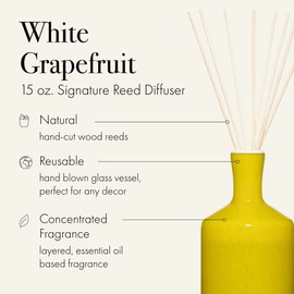LAFCO New York Signature Reed Diffuser, White Grapefruit - 15 oz - Up to 9 Months Fragrance Life - Reusable, Hand Blown Glass Vessel - Natural Wood Reeds - Made in The USA