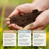 ecoBeans Organic Dark Roast Coffee Pods – 24 Count –