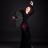 HENGBIRD Pack of 6 Hand Fans, Handheld Folding Fan Chinese