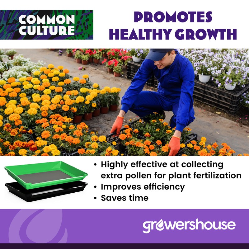 COMMON CULTURE Trim Tray Kit with Trimming Tray 13" x