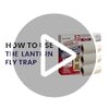 Spotted Lantern Fly Trap for Trees. 3 Sticky Fly Paper