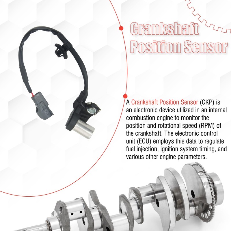 Sianxaido 9008019011 Crankshaft Position Sensor Compatible with Camry 1994-2001 Celica