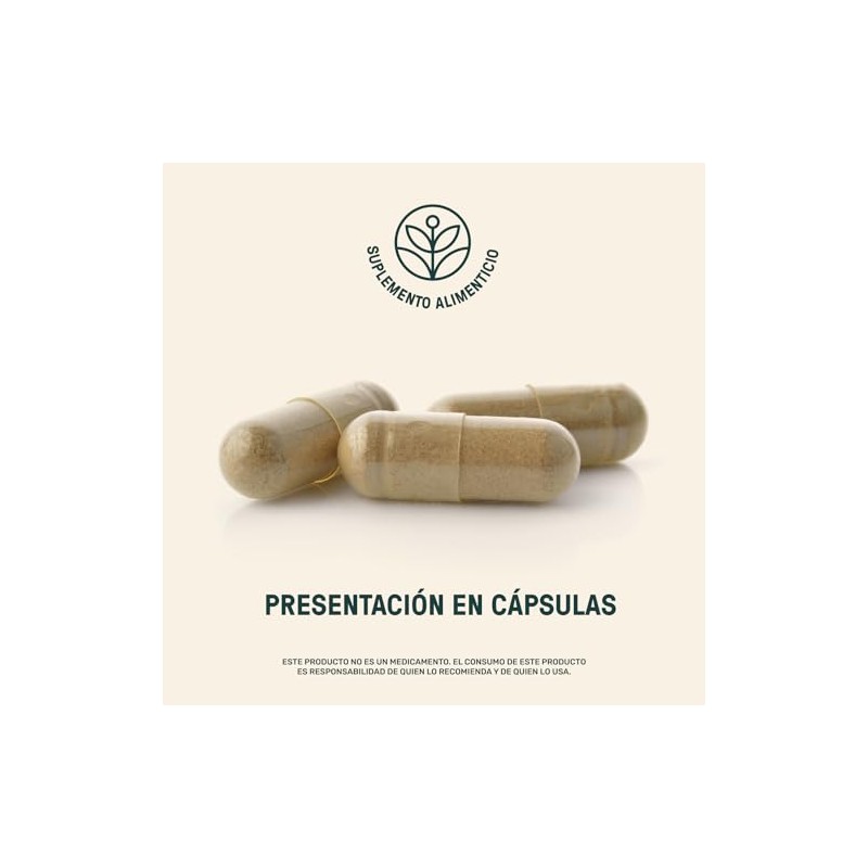 LIFE 360 Cordyceps Extracto Puro de Hongo Cordyceps 1200mg, 90