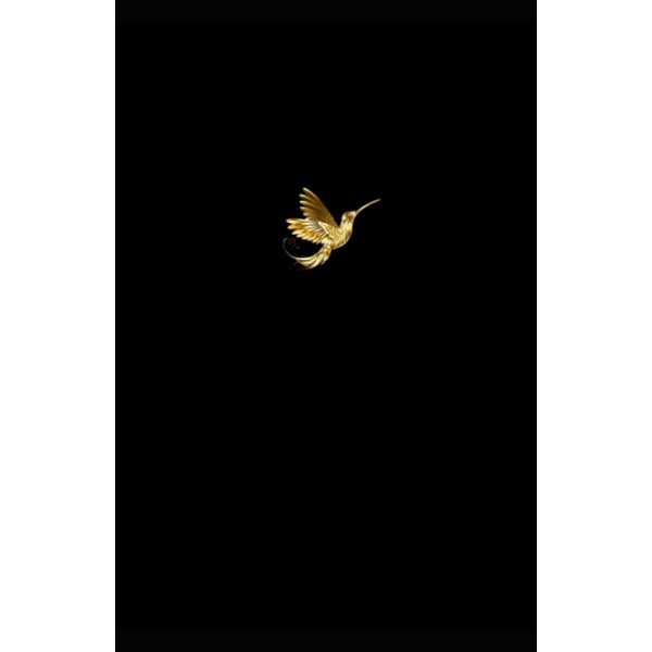 The Hummingbird A5 Notebook | Black & Gold Gift |