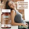 Lifeplan Alzaid 6-9-12 B complex 60 Tablets