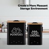 Candco Potato and Onion Storage Bin, Set of 2 Vegetable