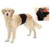 Karlie Dog Pant, 90 x 30 cm, Black
