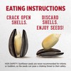DAVID Seeds Roasted and Salted Buffalo Style Ranch Jumbo Sunflower