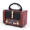 T.TAOMI Retro Portable Radio AM FM SW 3 Band,USB Charging,