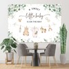 Joliaco Clothes Baby Shower Backdrop Green Eucalyptus Baby Shower Background