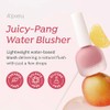 APIEU JUICY-PANG WATER BLUSHER (CR01 - Melocotón) - Rubor líquido