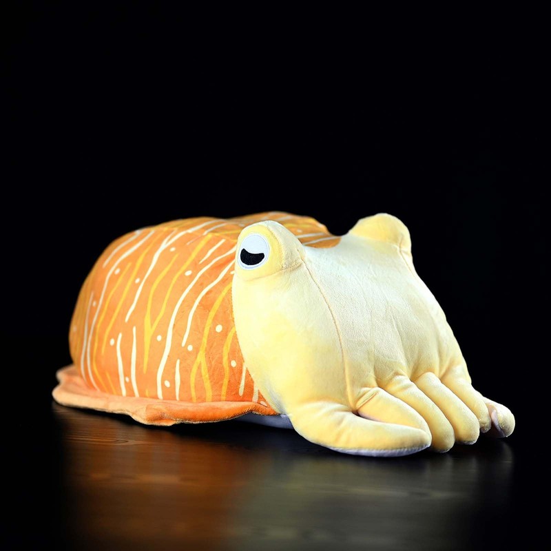 BEEPEACH 16.5inch Super Soft Plush Cuttlefish Pillow Doll Simulation Inkfish