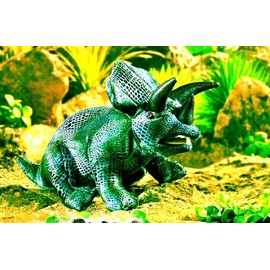Baby Triceratops